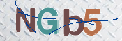Image Anti-spam