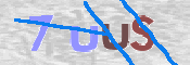 Image Anti-spam